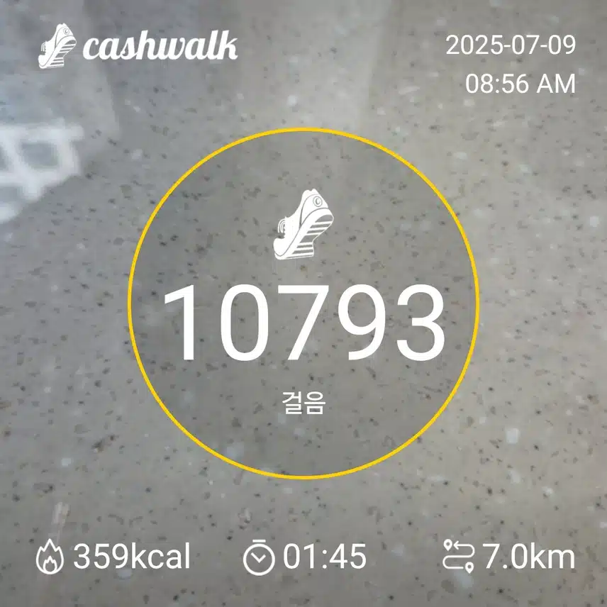 인증