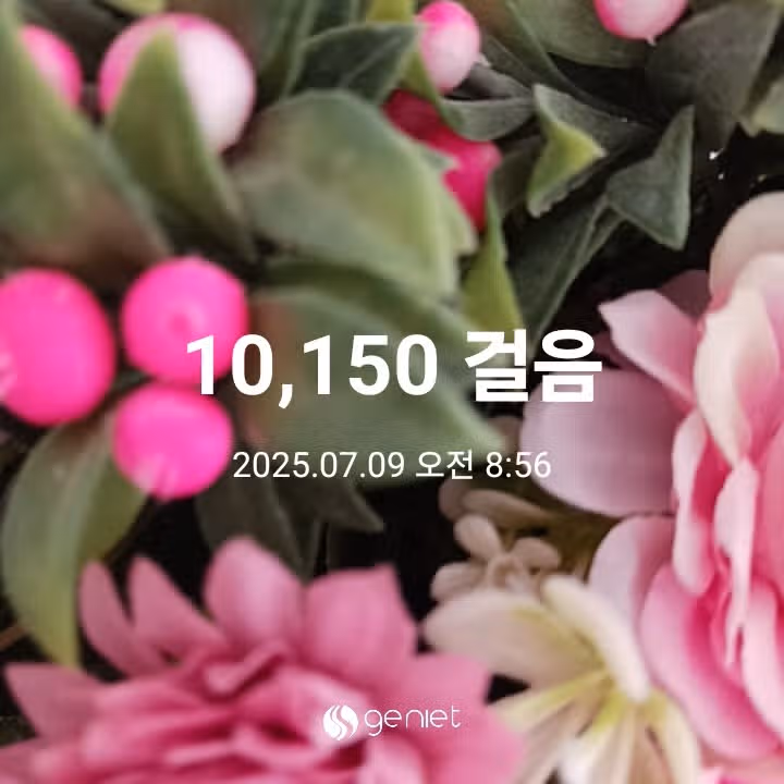 오전 운동 