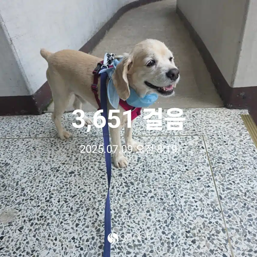 수요일 아침 
