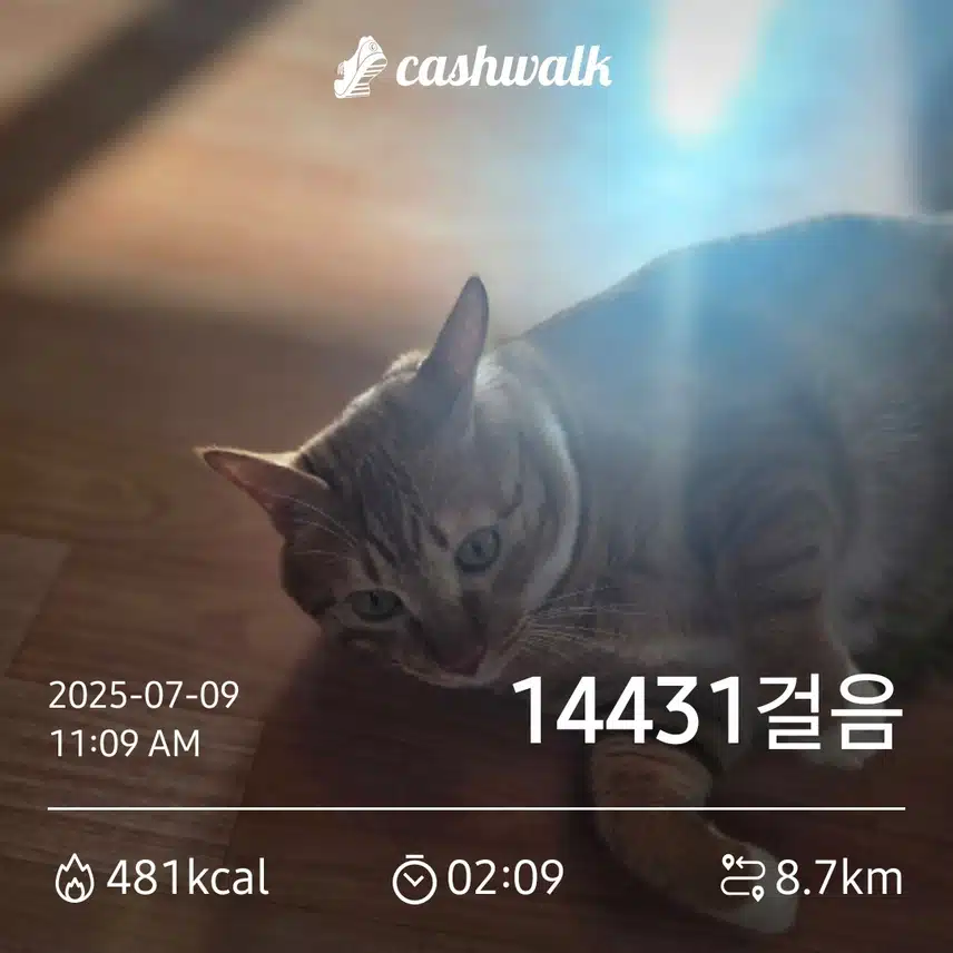 만보걷기 1.78일차 인증