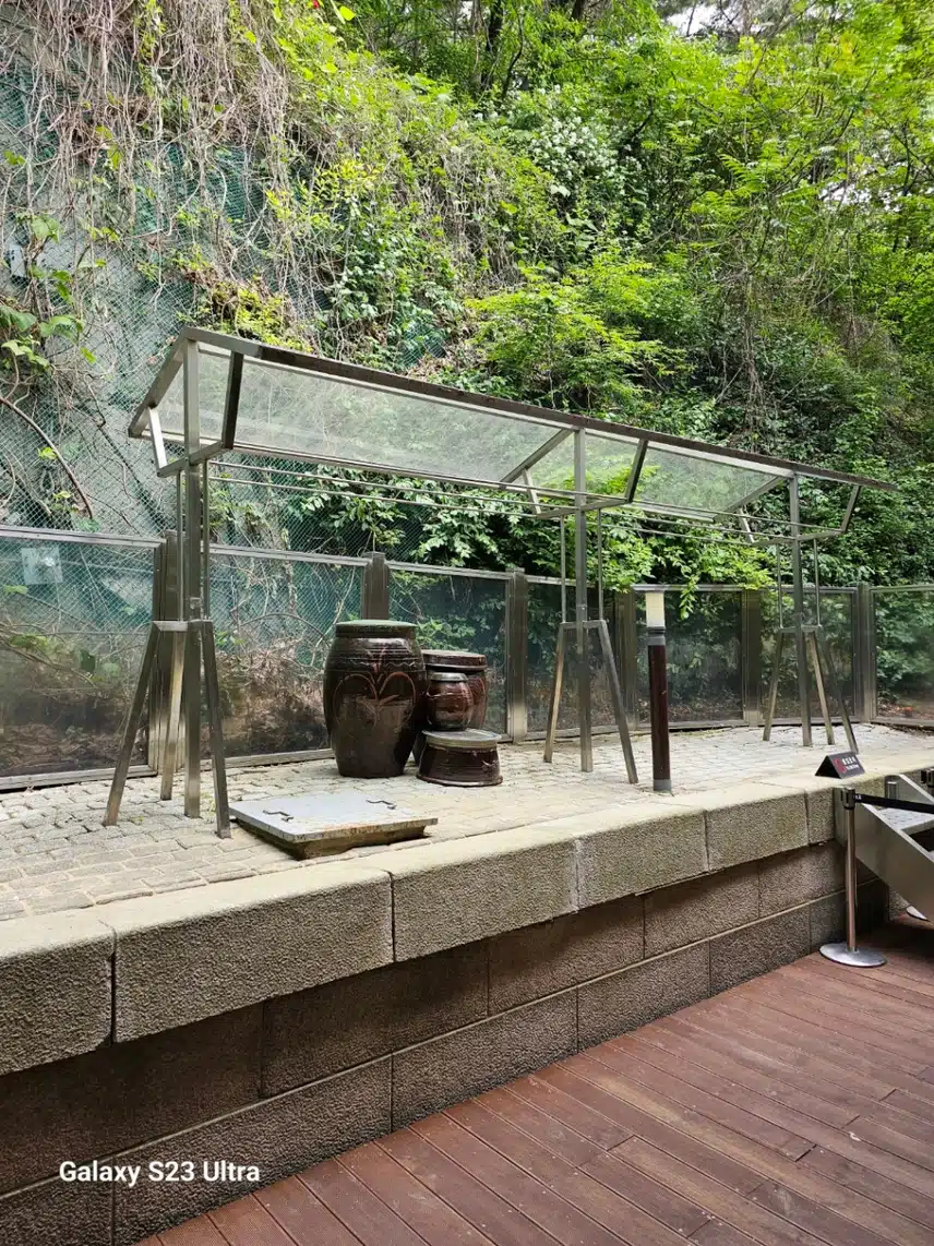 경치사진올리기.