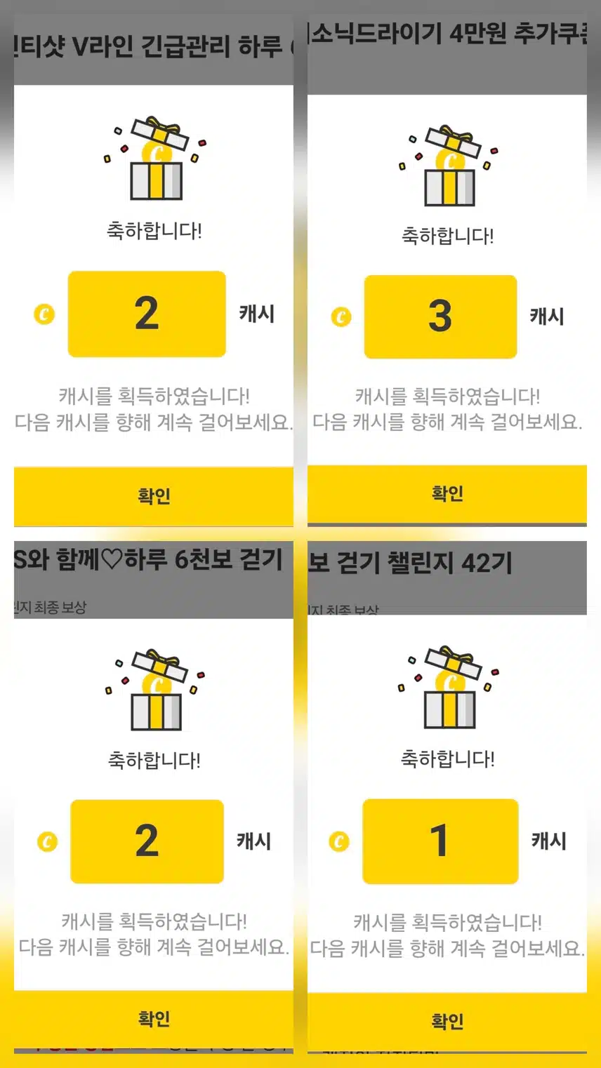 팀워크 하루 걷기 챌린지 인증 캐시 