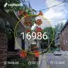 board-img