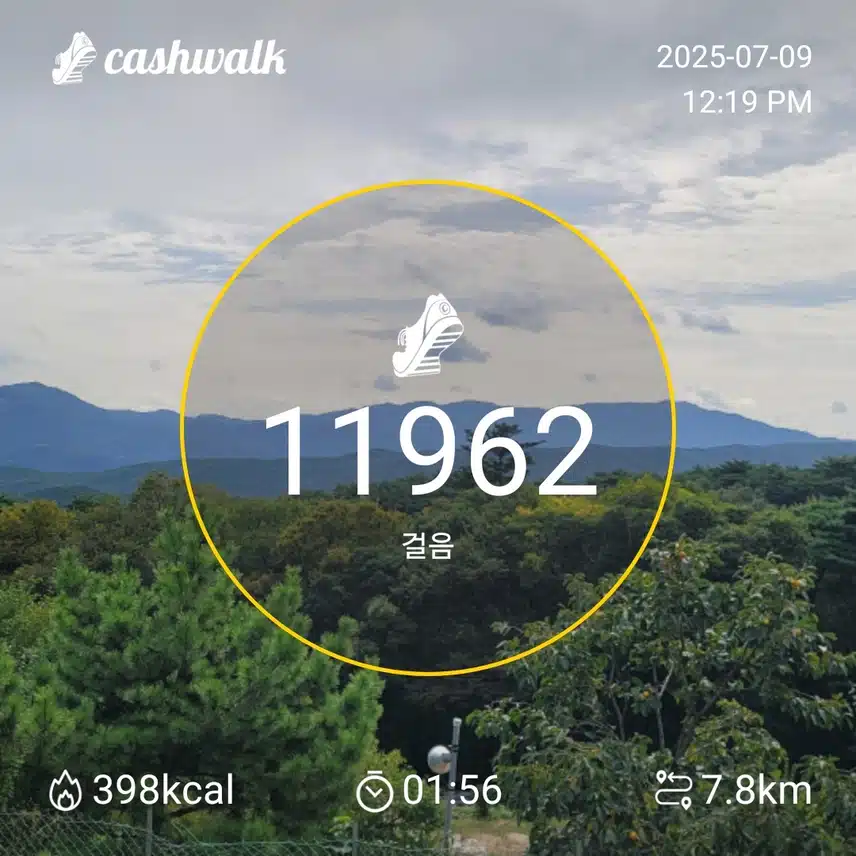 인증 