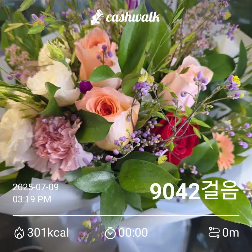 6천보챌 42기 14일차 인증 