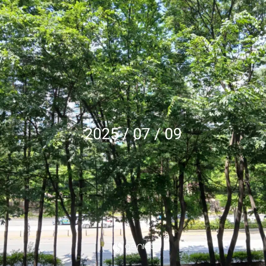 수요일 걷기운동^^