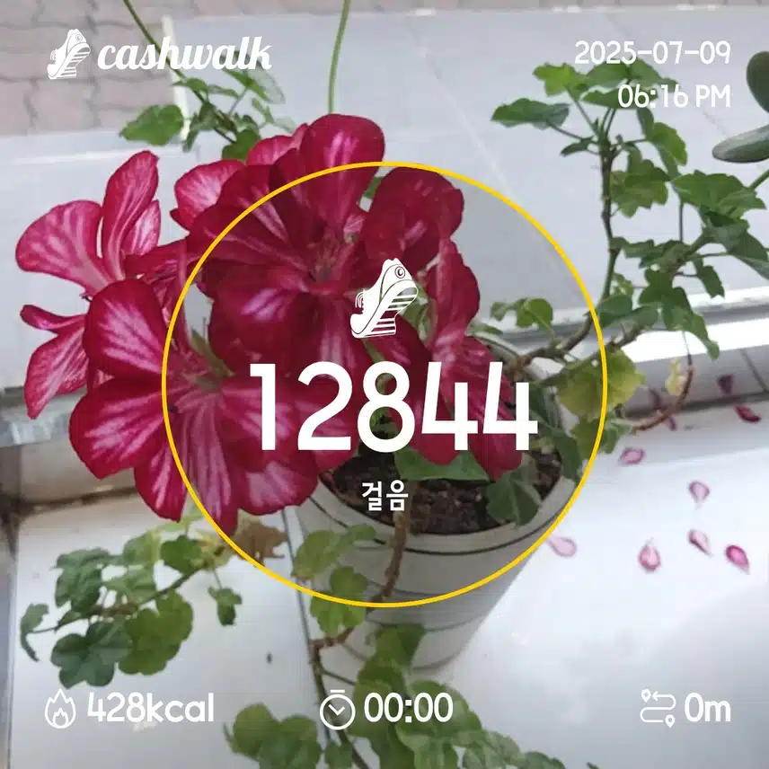 3일차 