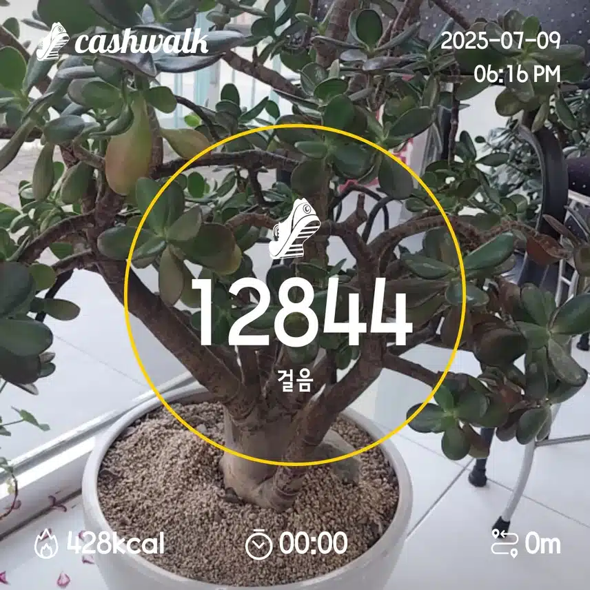 14일차 