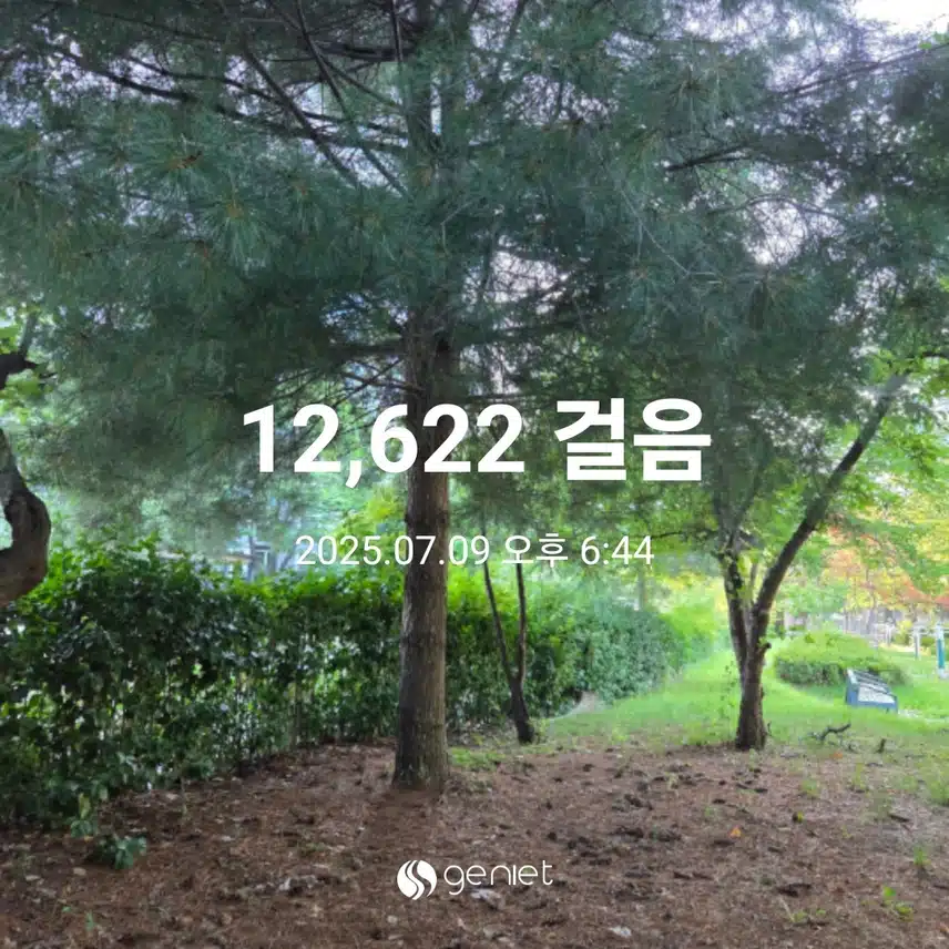 만이천보 운동 했습니다 