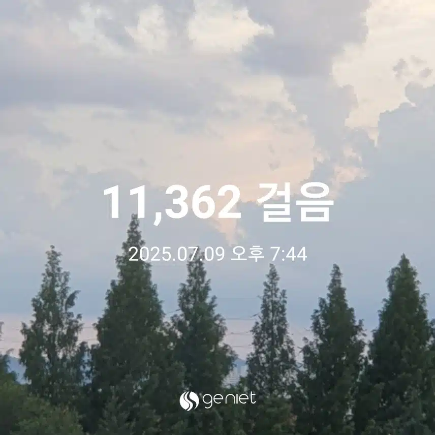 바람이 분다