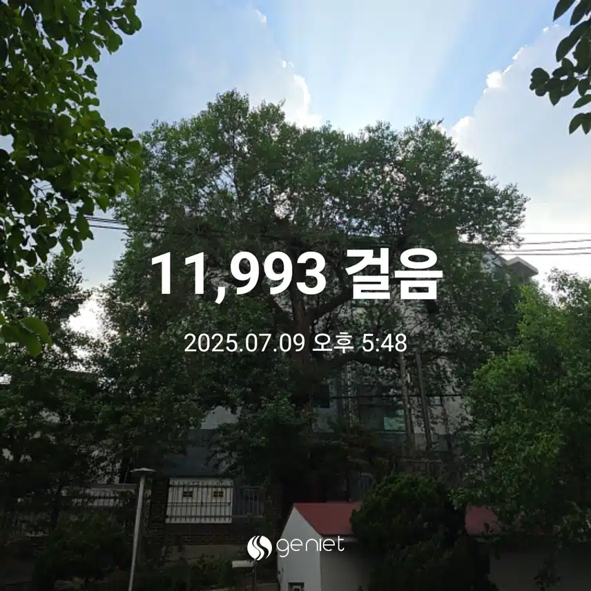 수요일 마무리 