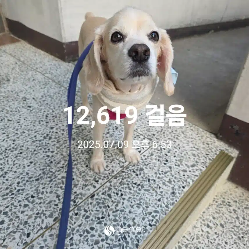 수요일 마무리 