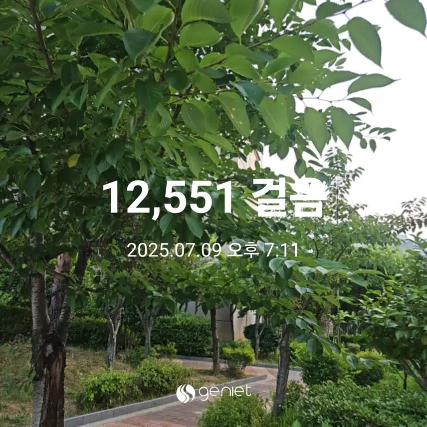  식후 산책으로 🏃