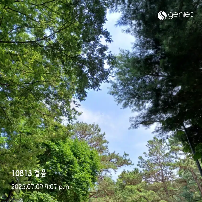 수욜걸음 
