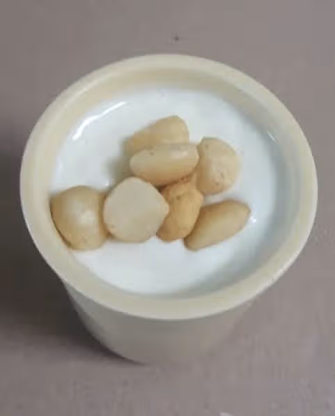 요거트
