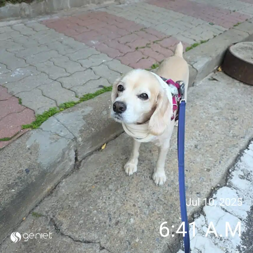 목요일 아침 