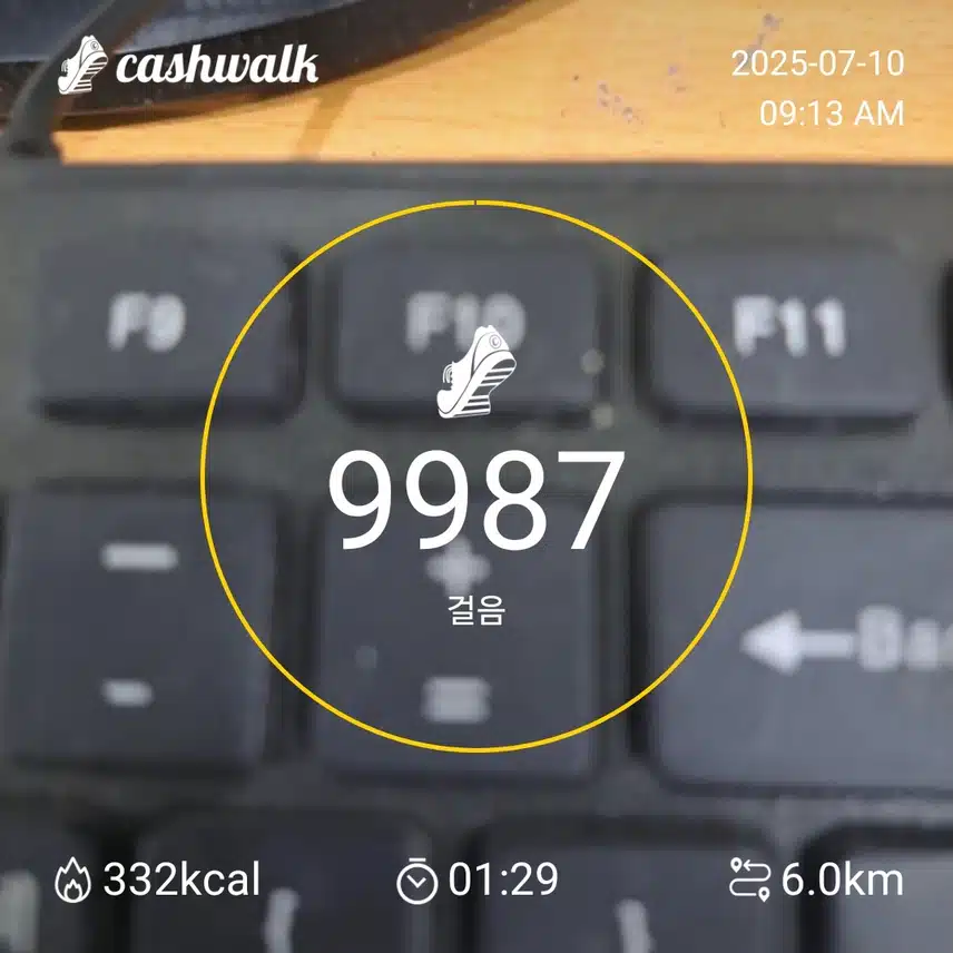 인증 