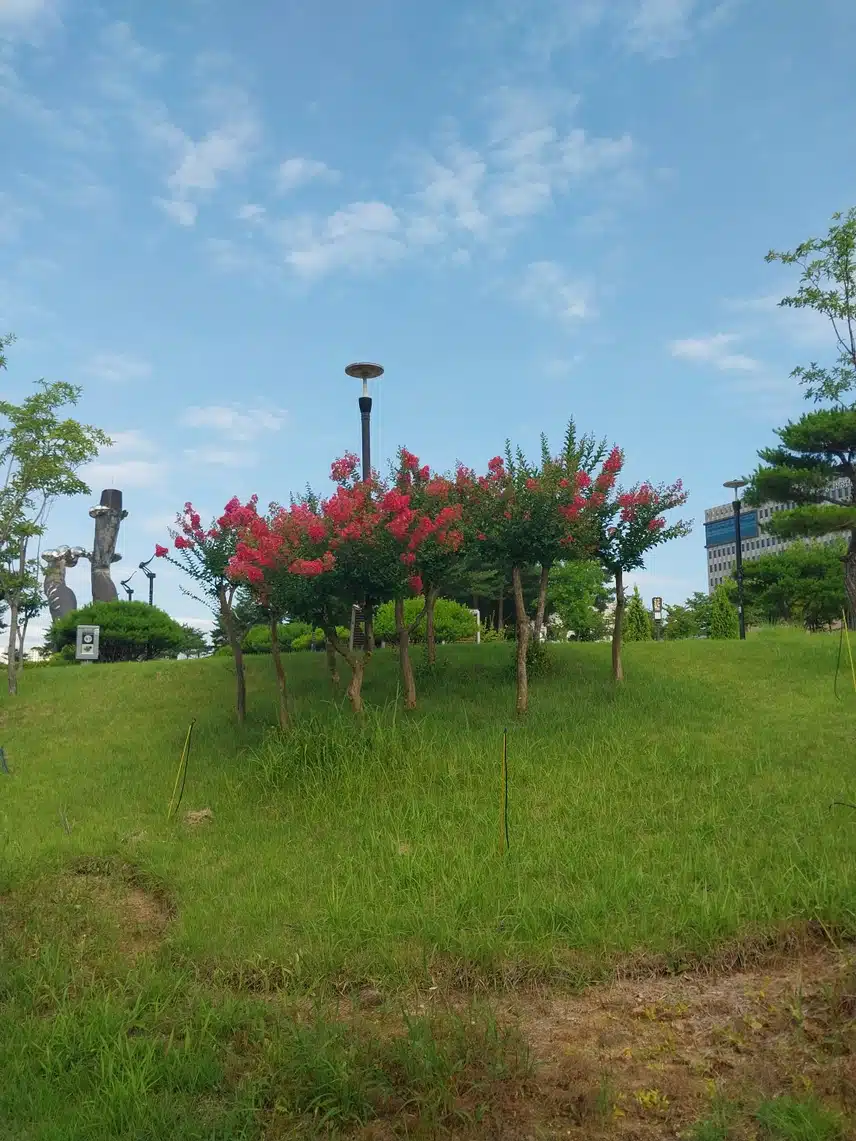 서늘하니 달리기 좋아요