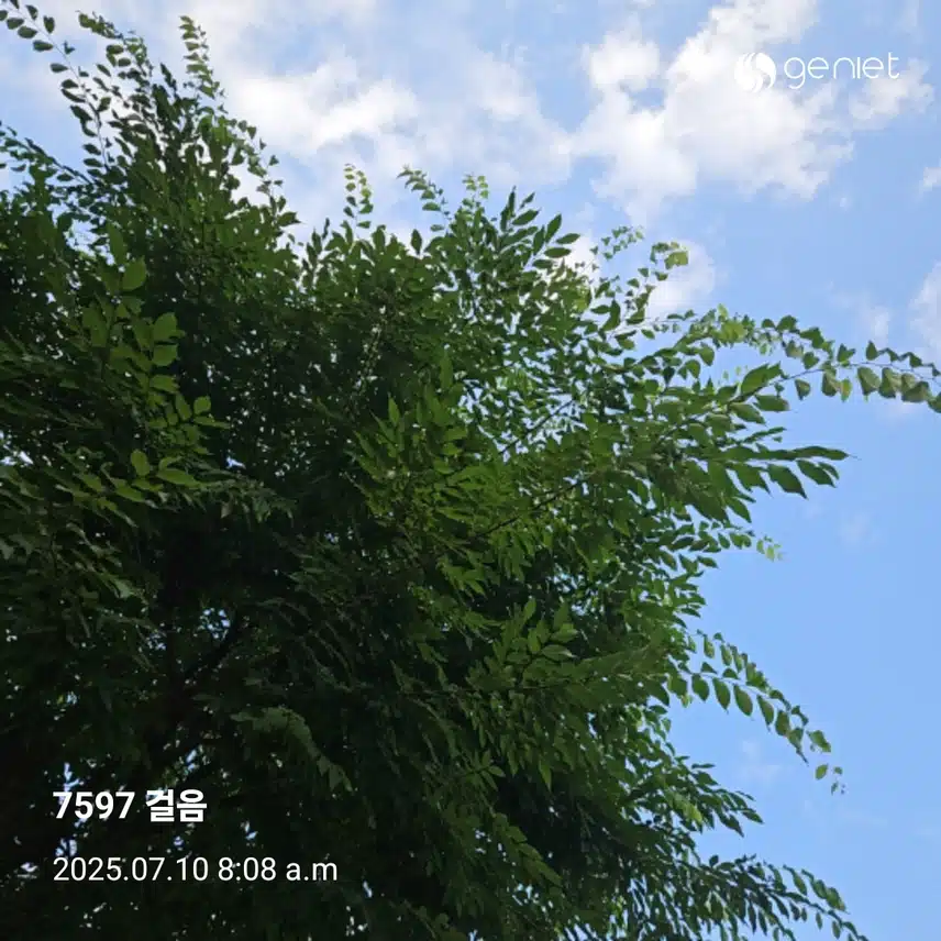 오전 산책으로 🏃