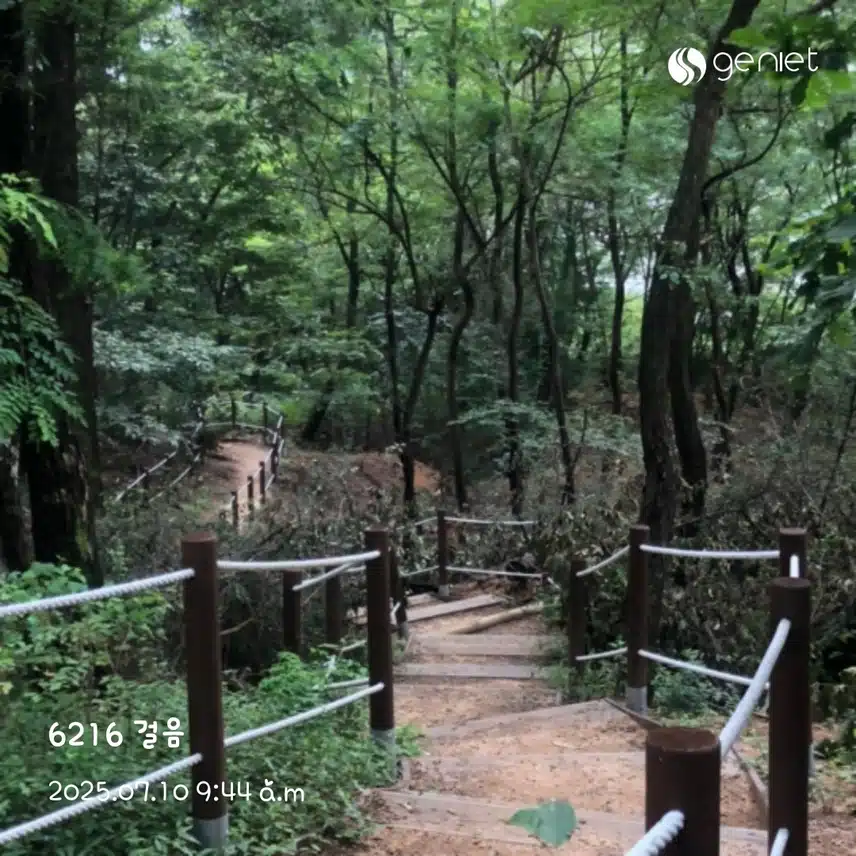오전 산책🏃‍♀️