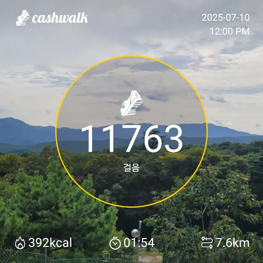 인증 