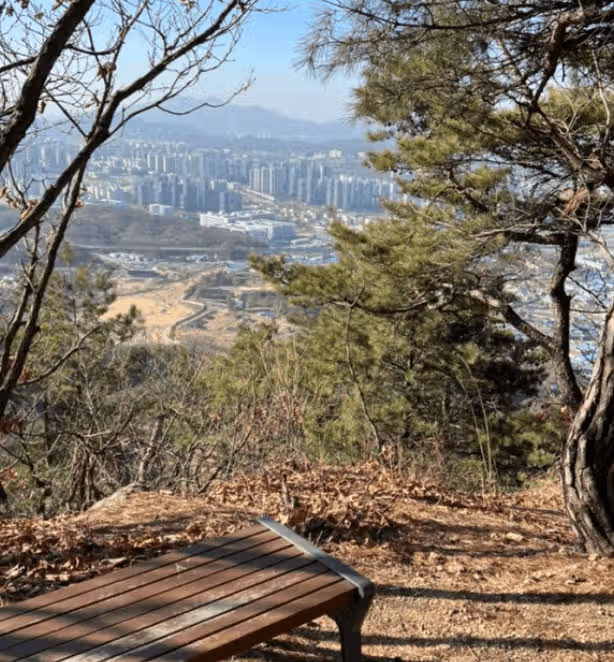 양주 천보산 등산 가볍게 추천해요