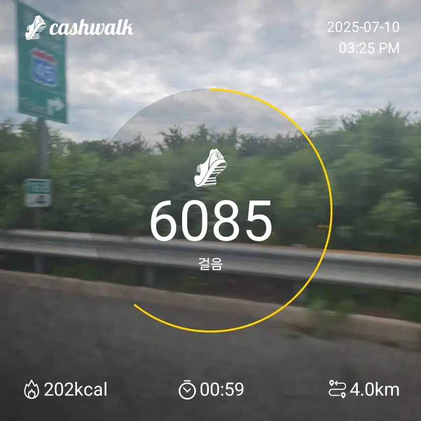 인증