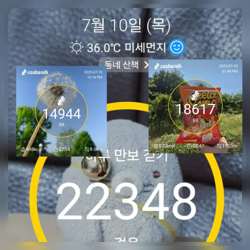 🤩까까😍 한봉지에 행복함 만보걷기 완료 ~
