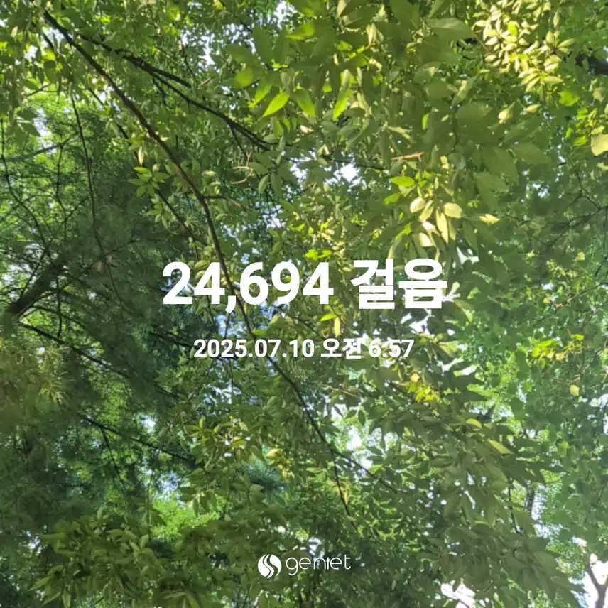 7월 10일 목요일 걷기 