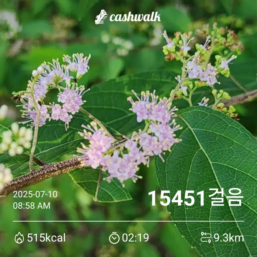 새벽운동 다녀왔어요 ㅎㅎ