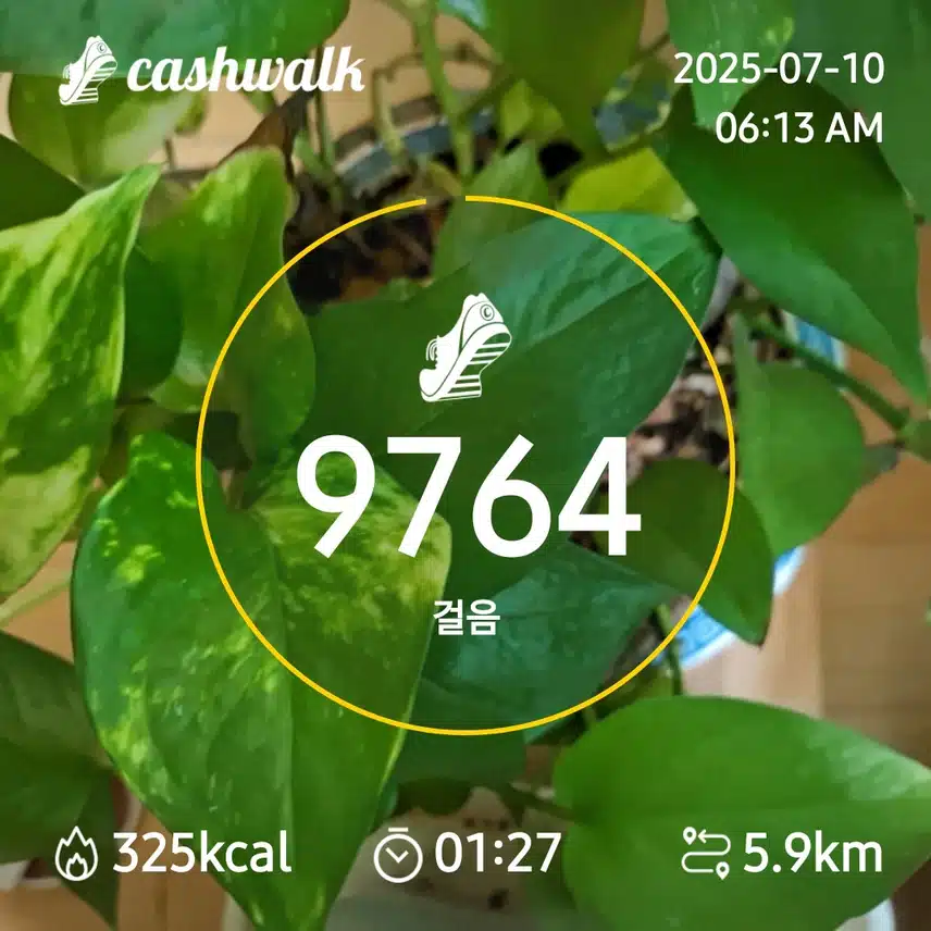 7000보 걷기