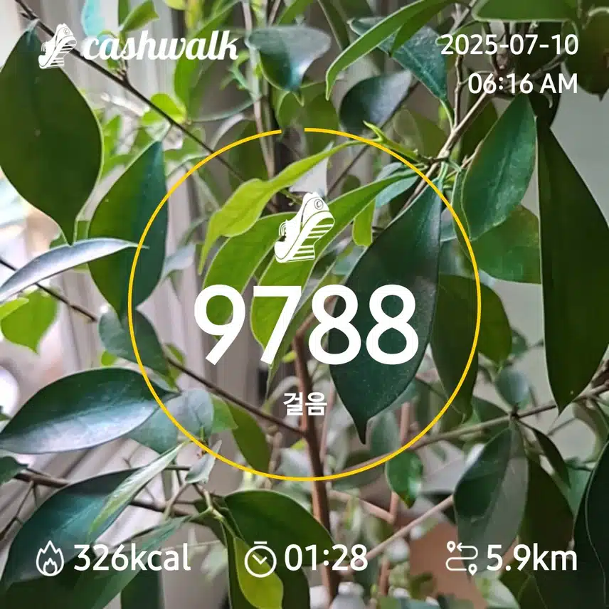 6000보. 걷기