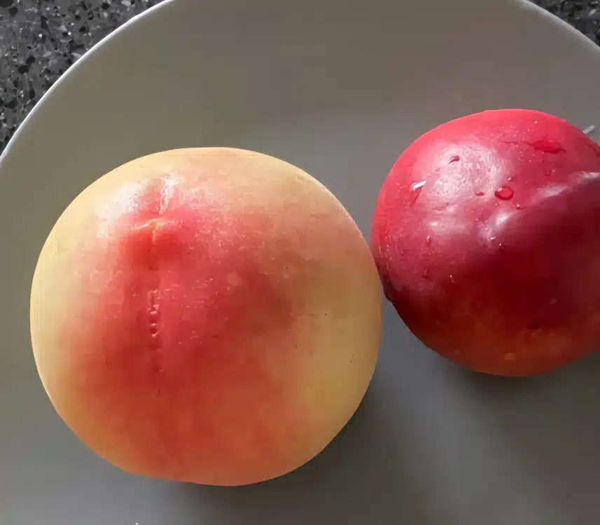 복숭아와 자두 챙겨 먹어요~🍑