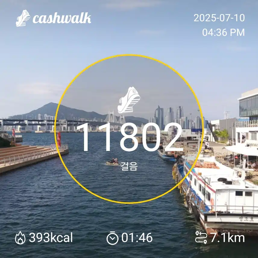 인증 