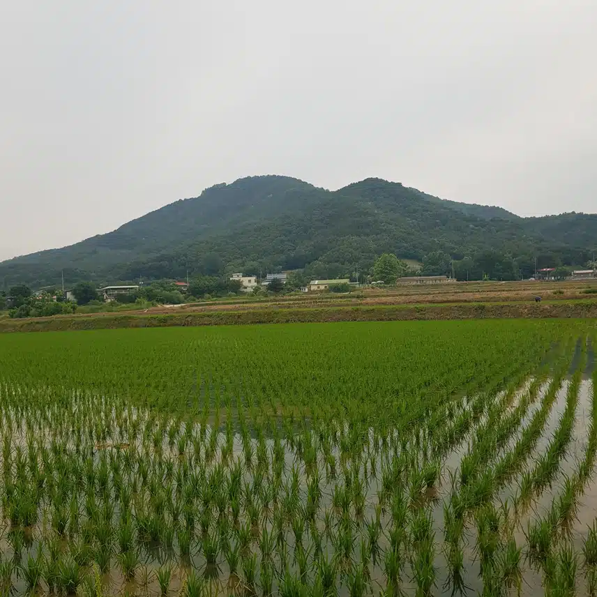 오랜만에 고향에 다녀왔어요!