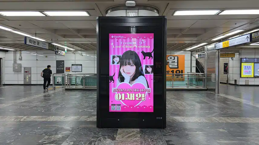 🎁48th Women's League Voting Advertisement Photo