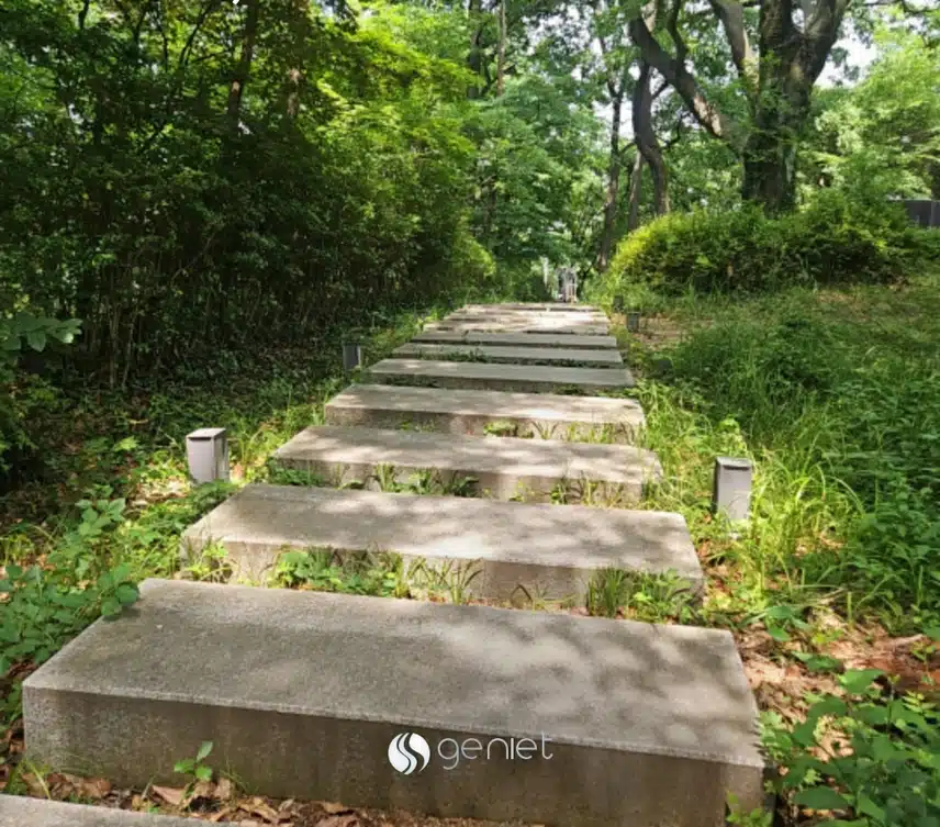 체지방 감소에 보폭 늘리기🏃