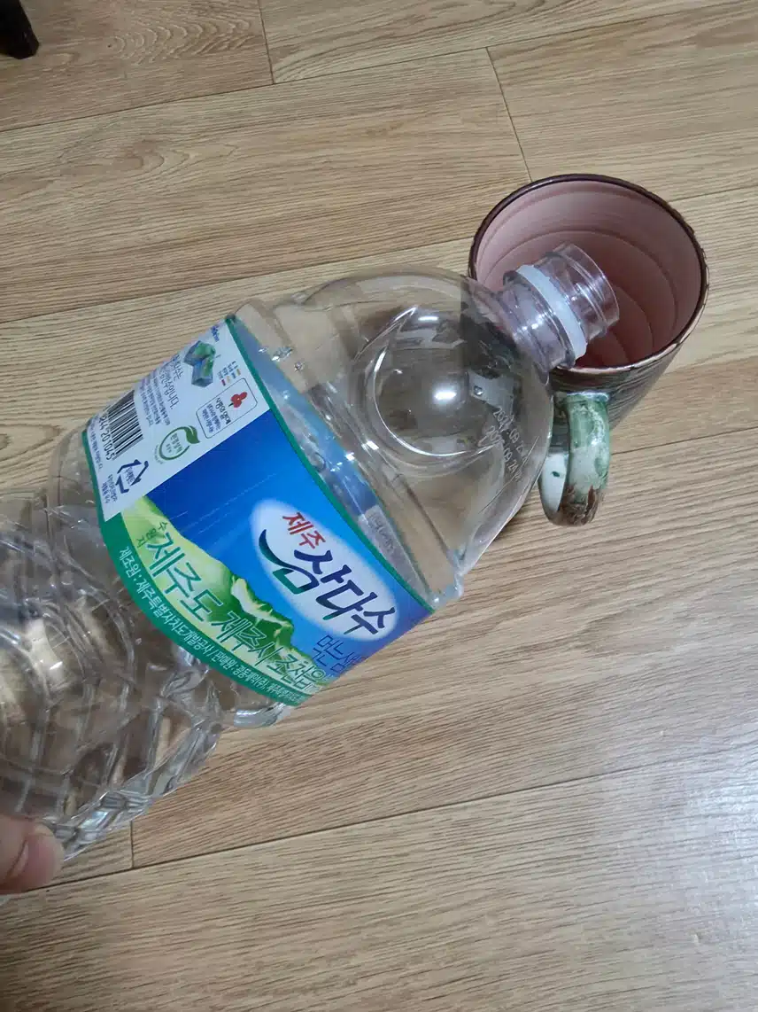 인증