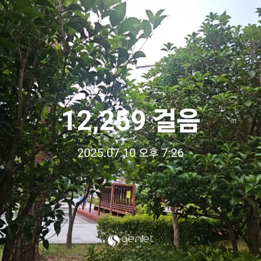 산책 나왔네요.🏃