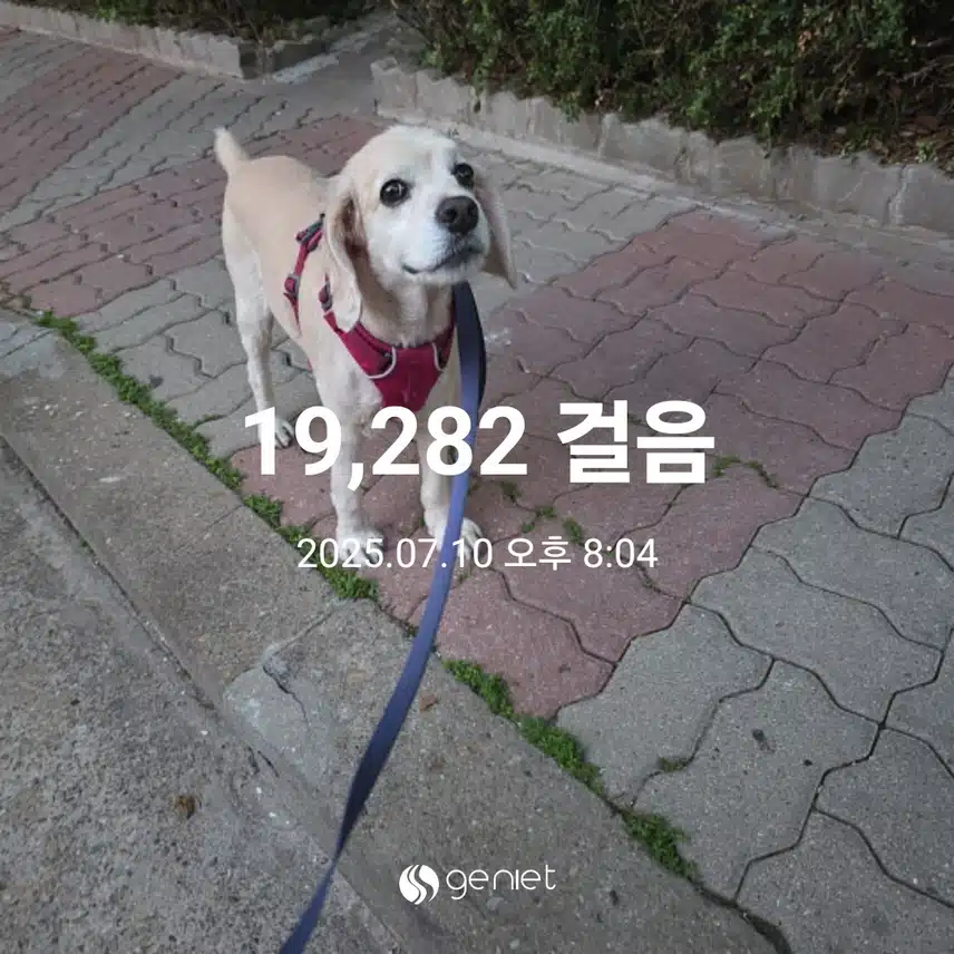 목요일 마무리 
