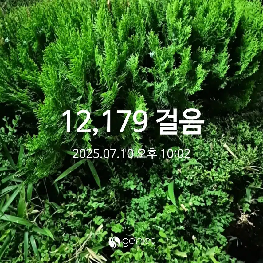 목요일 만보인증!