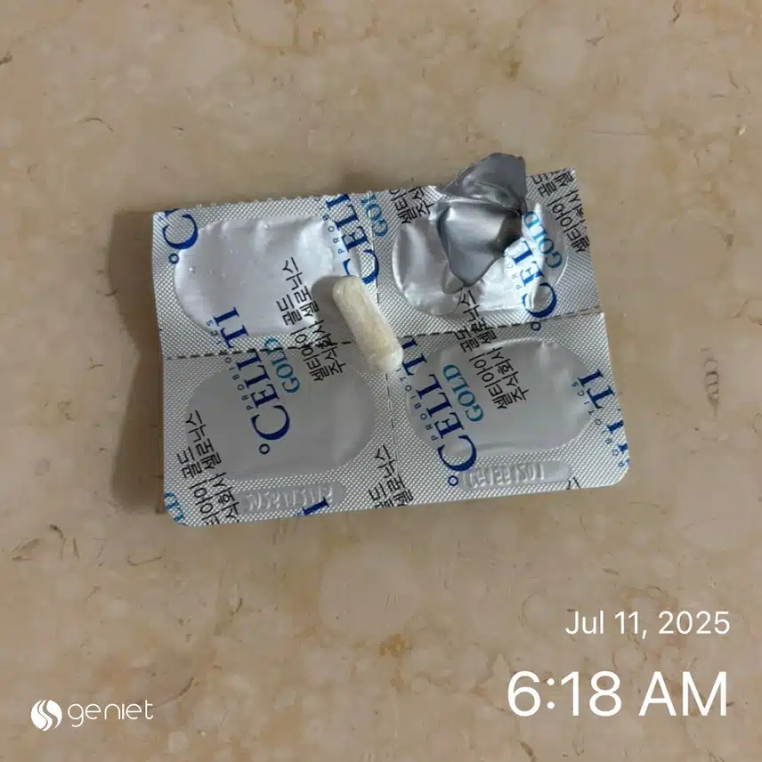유산균💊