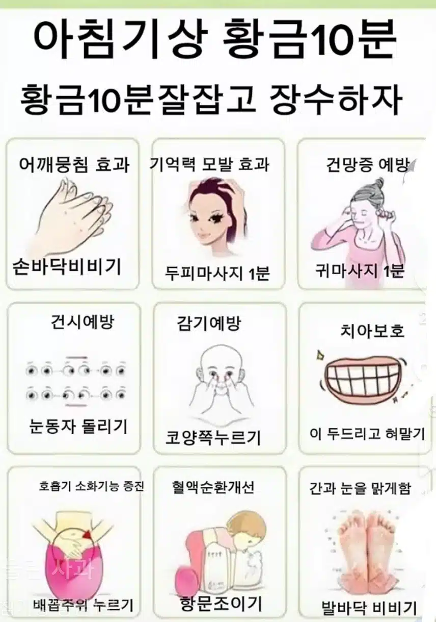 아침기상 황금10분