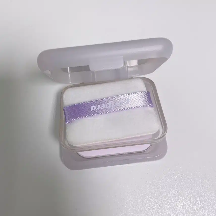 팩트