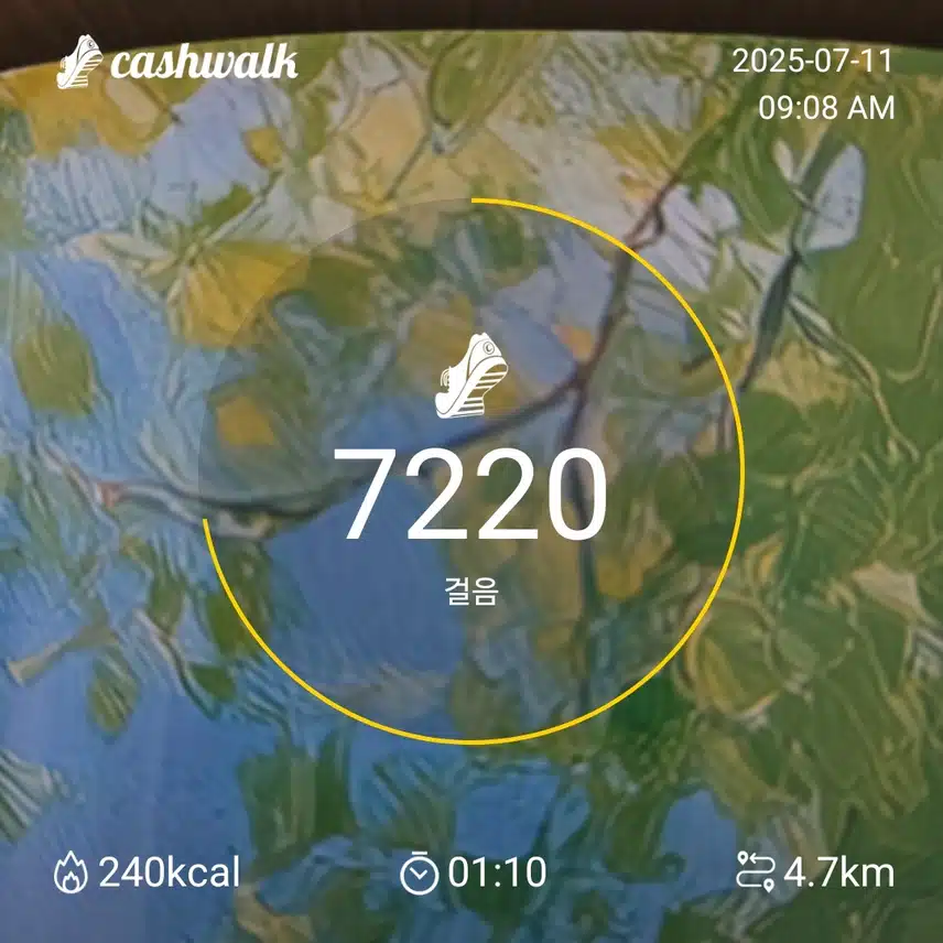인증