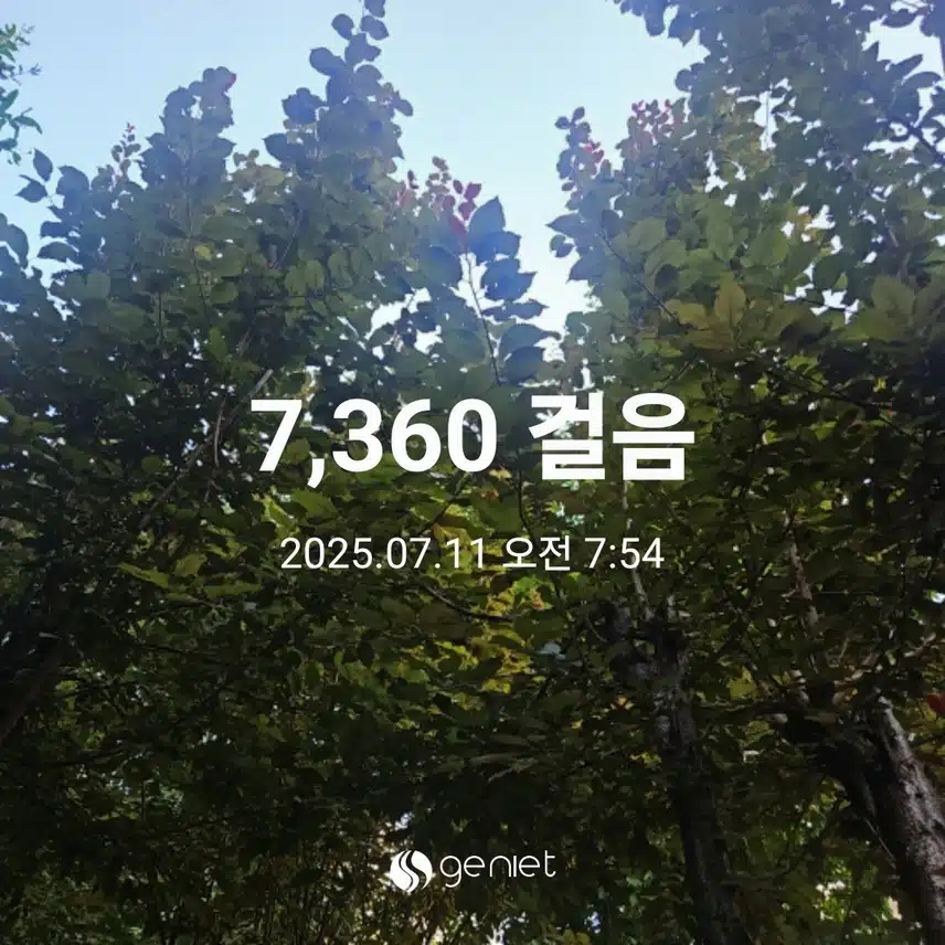 오전 산책으로 🏃 
