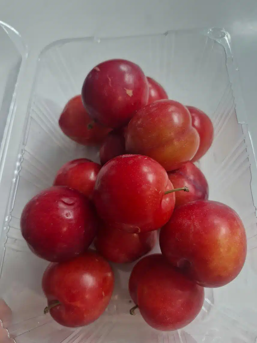 대석자두 너무 맛있네요^^