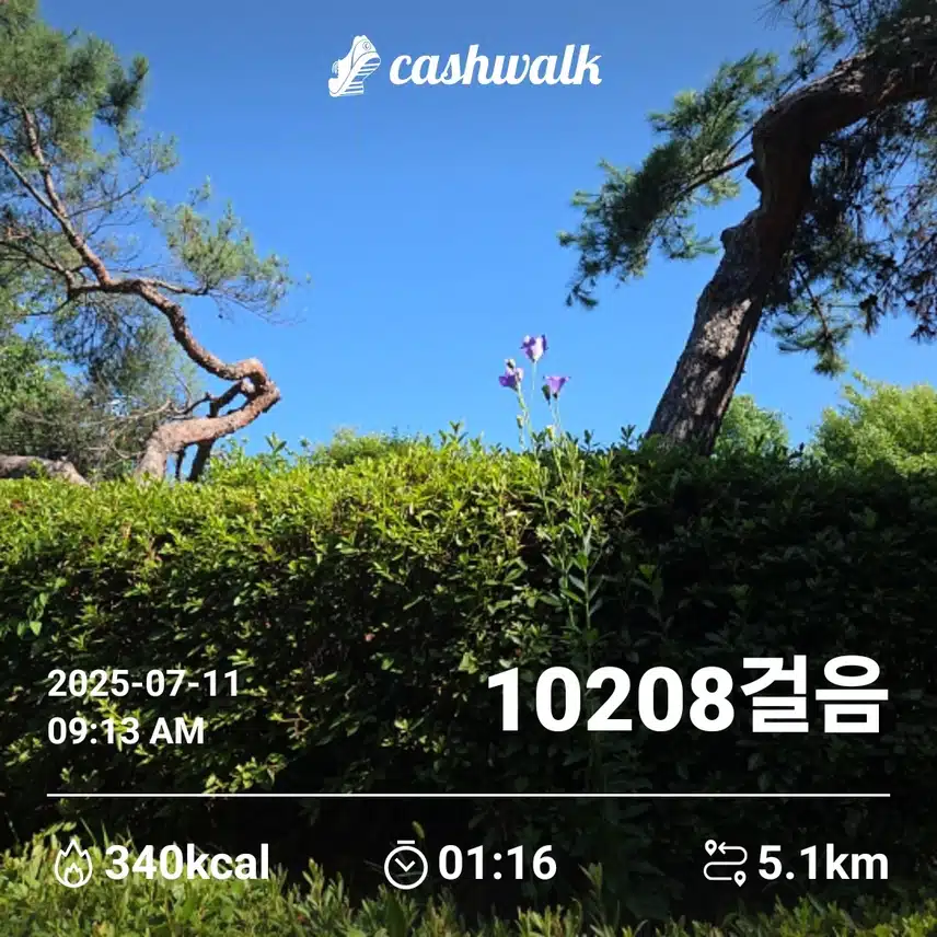 인증