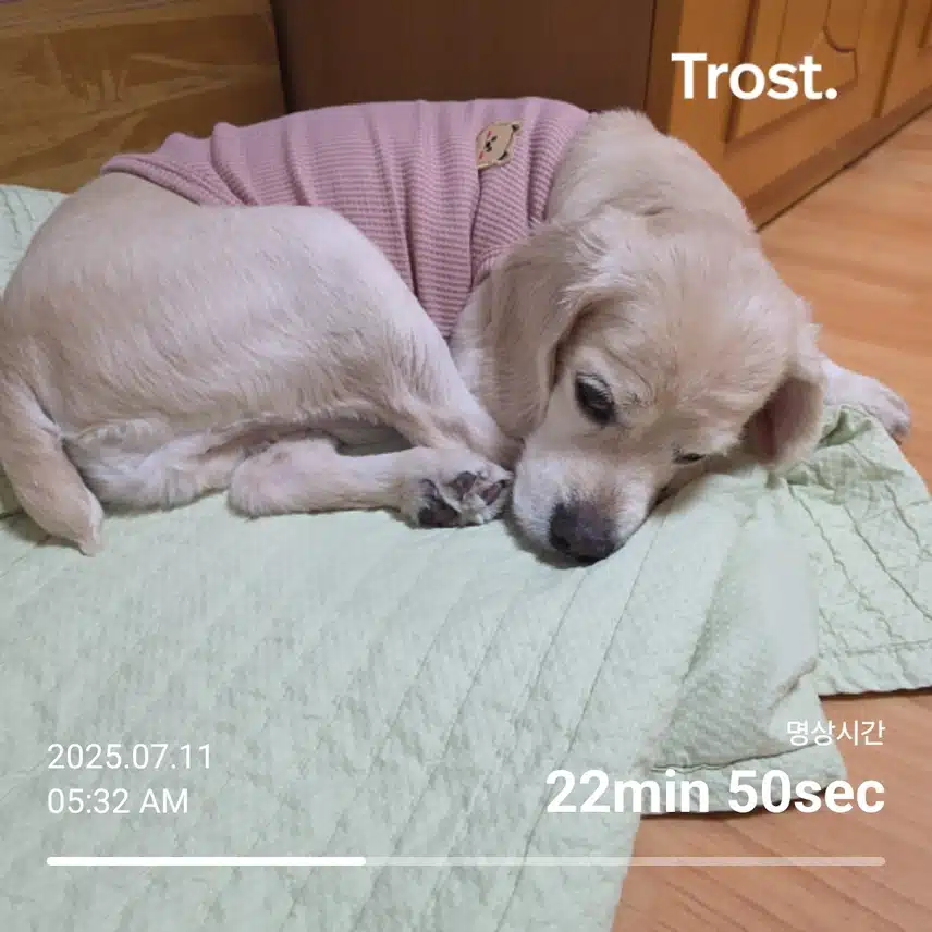 금요일 아침 