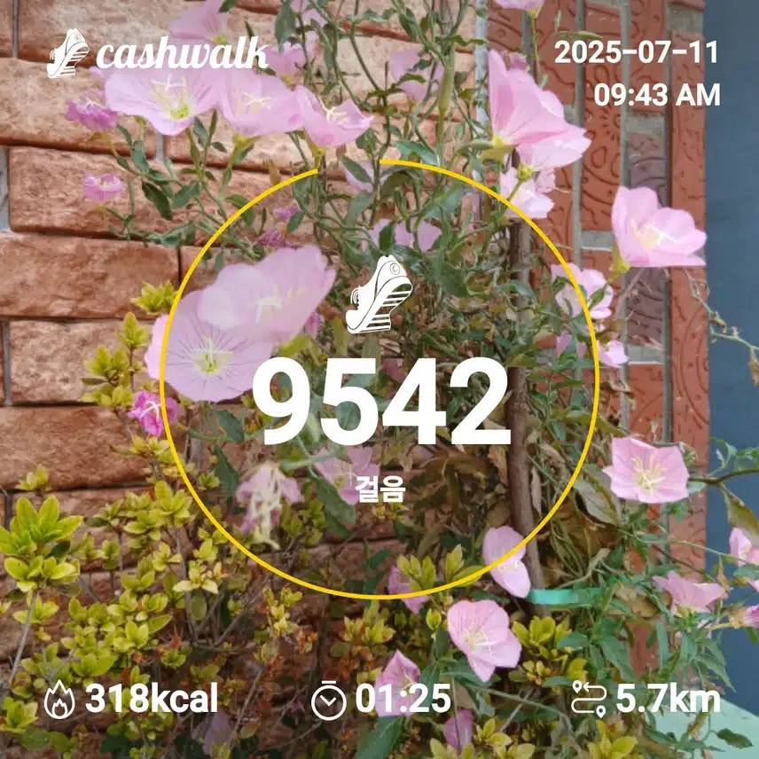 행복